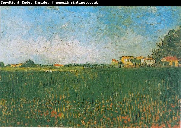 Vincent Van Gogh Farmhouses in a Wheat Field near Arles